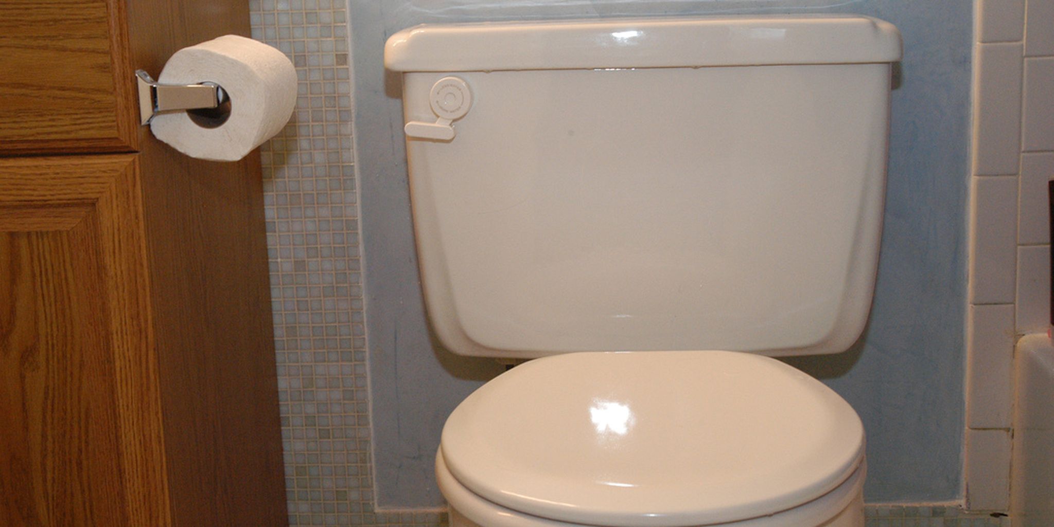 Have fun analyzing your poop from the comfort of home