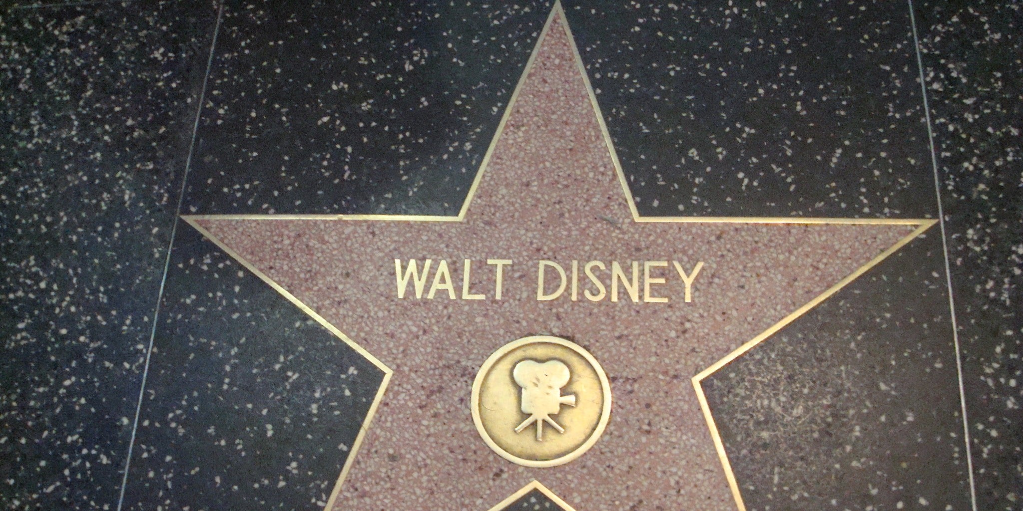 Homepage article image