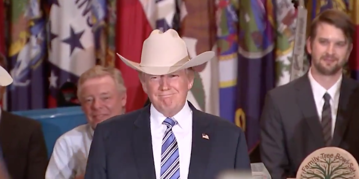 Donald Trump Wearing a Cowboy Hat