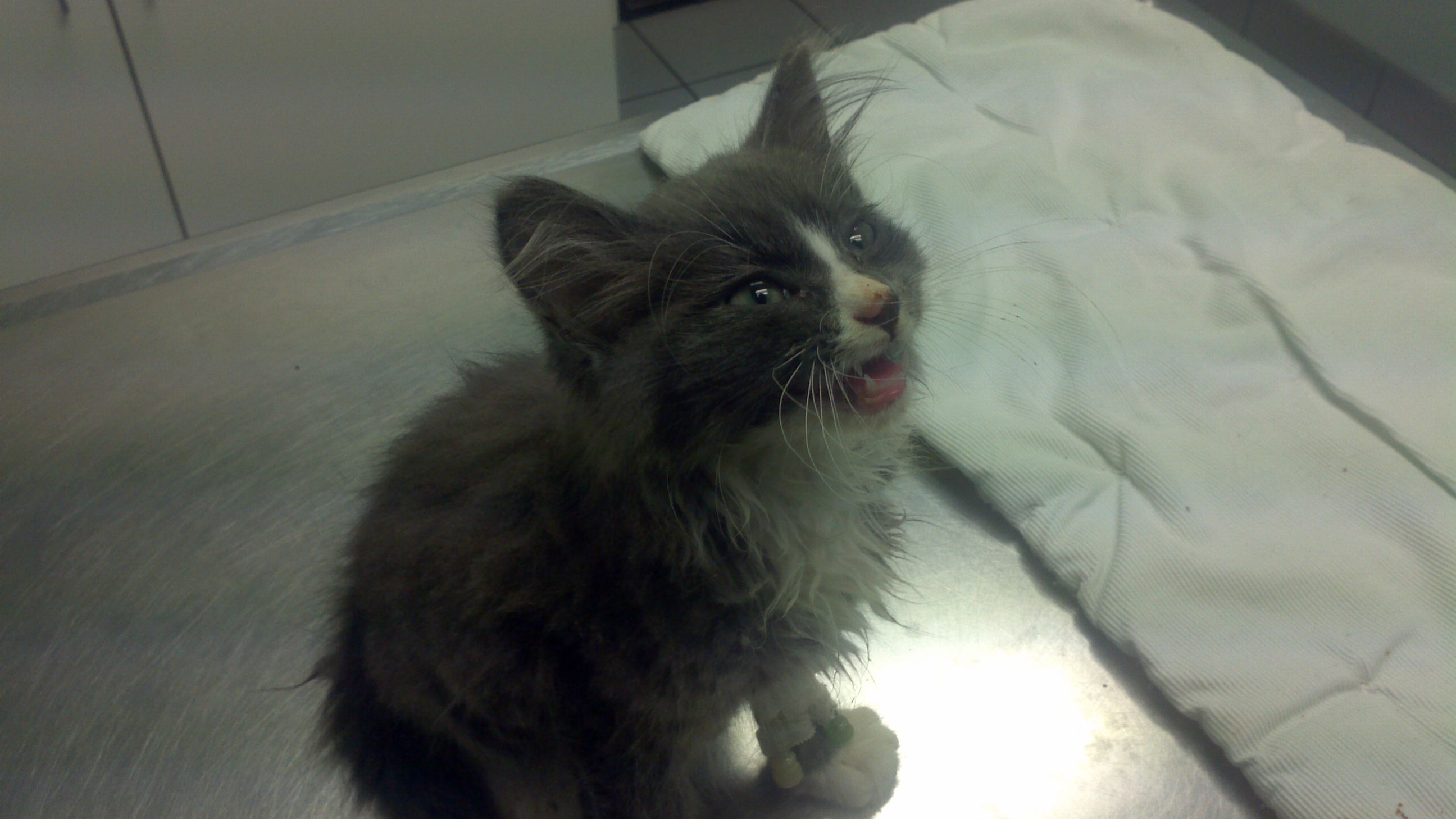 Homepage article image