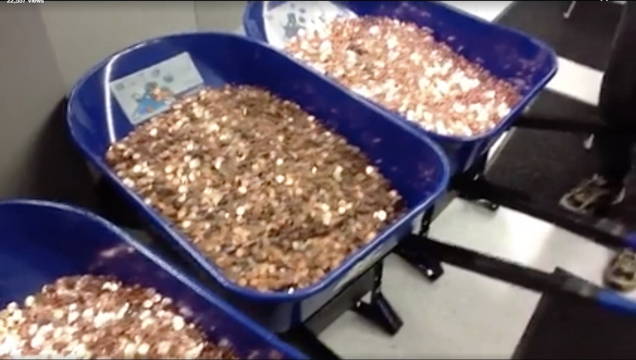 Homepage article image