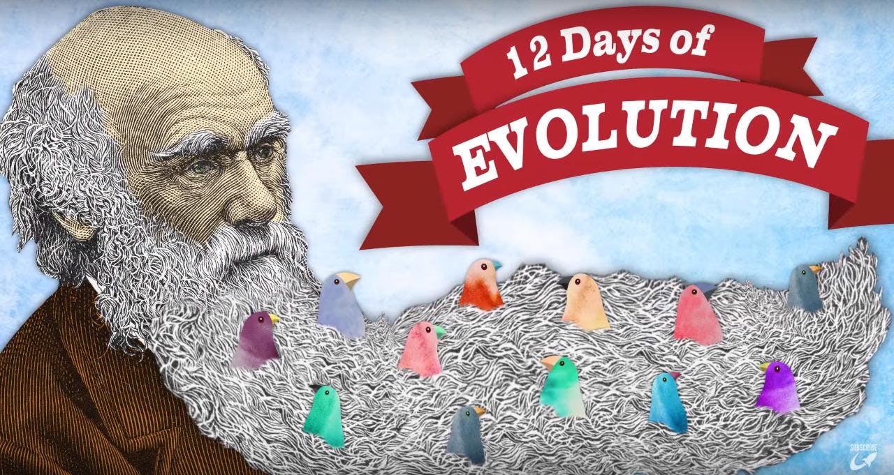 День эволюции. День эволюции (Evolution Day). День эволюции картинки. День эволюции 24 ноября картинки.