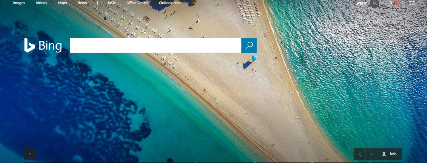 bing homepage penis