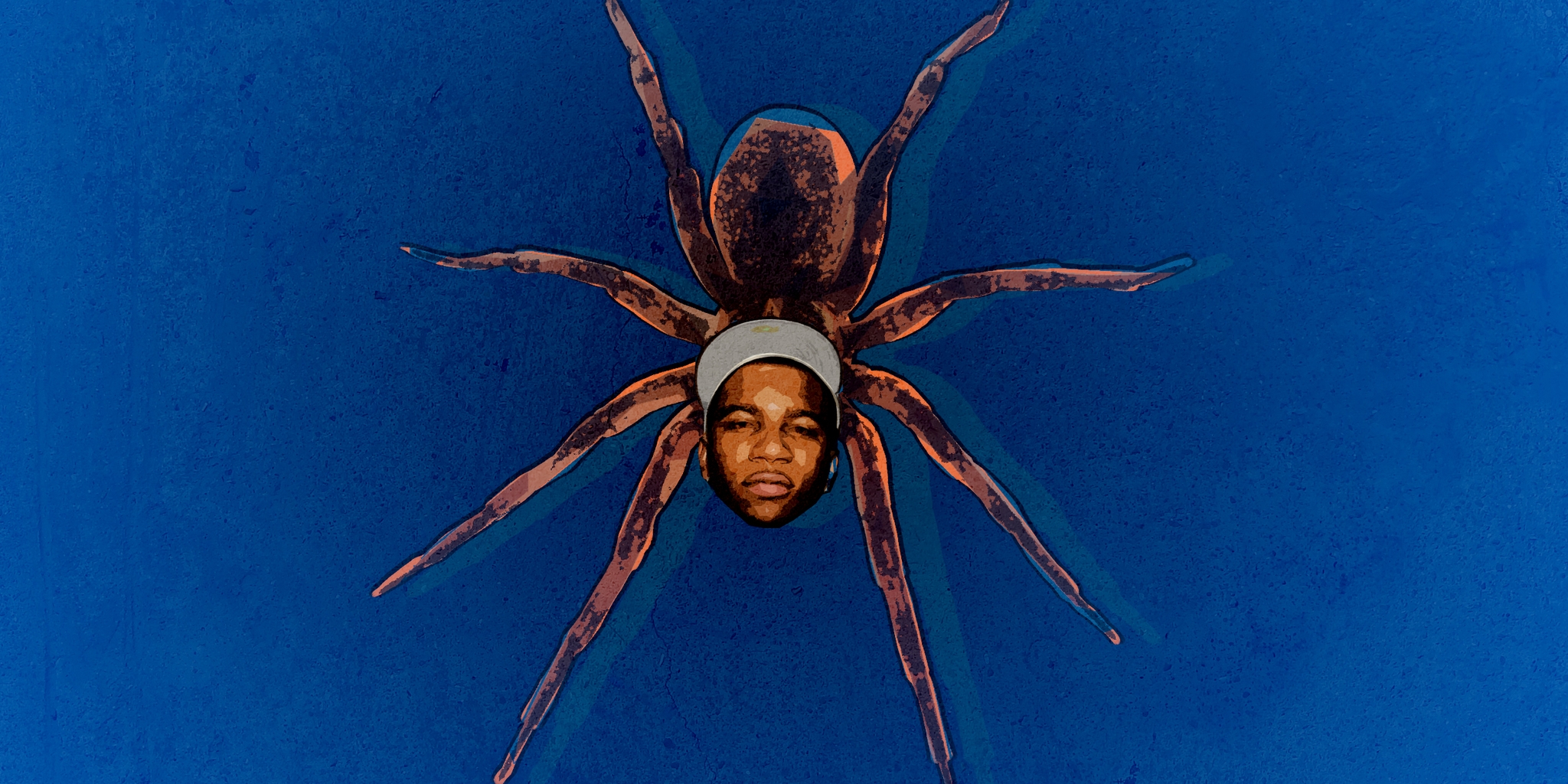 We Had Arachnologists Fact-check Lil B's Tweets About Spiders - The ...