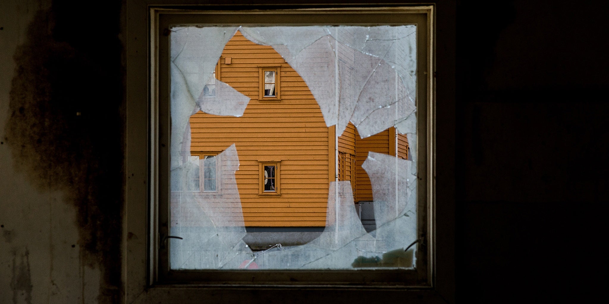 Homepage article image