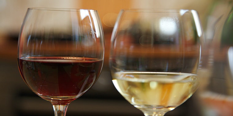 best wines wine glasses