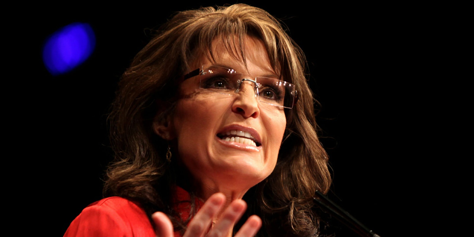 Sarah Palin is suing the New York Times for defamation.