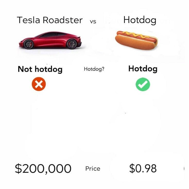 tesla vs hot dog