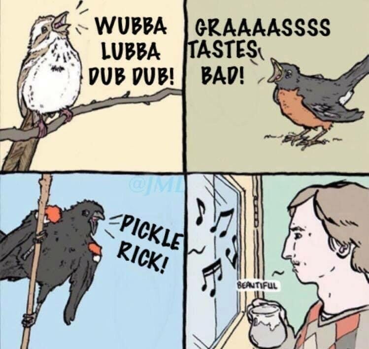 rick and morty fans iq beautiful bird meme