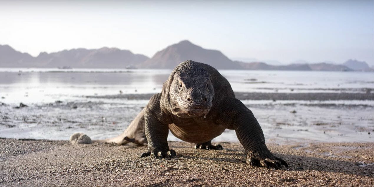 16 Mind-Blowing Science and Nature Documentaries on Netflix