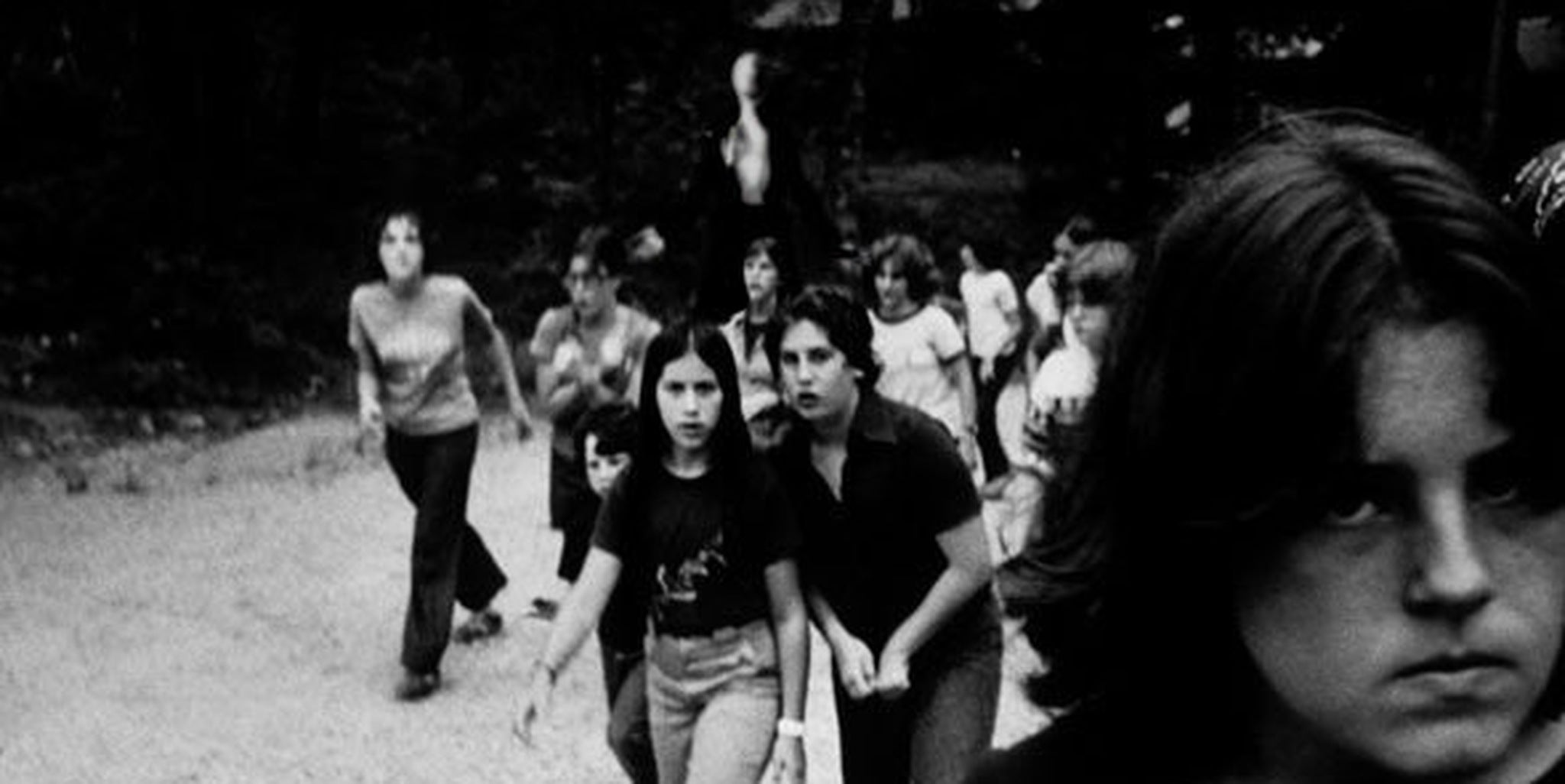 Homepage article image