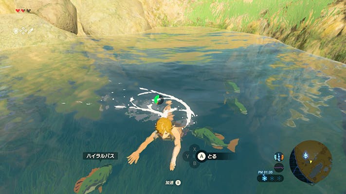 Breath of the Wild Fish