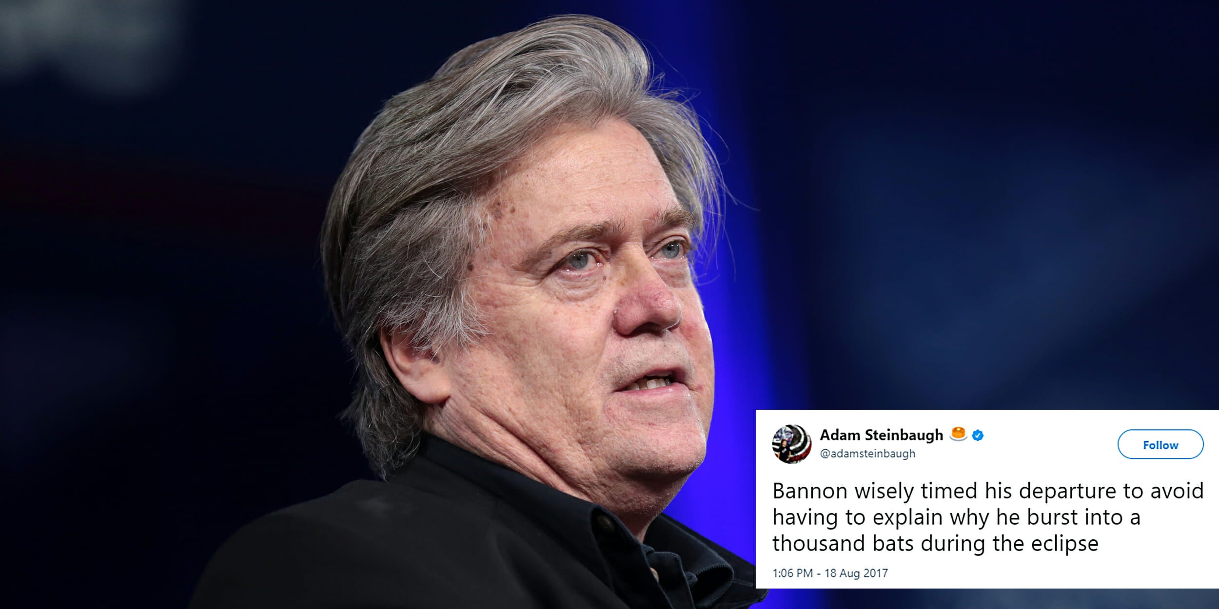 The Best Steve Bannon Resignation Memes and Tweets