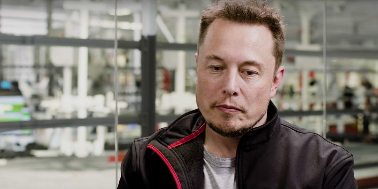 tesla spacex ceo