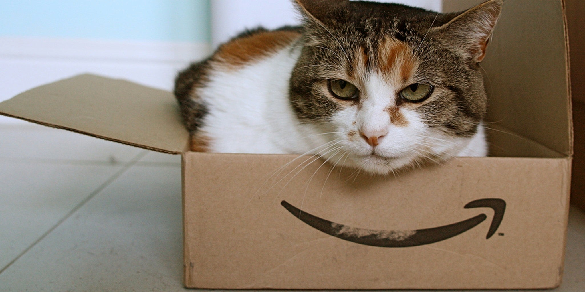 7 Things You Couldn T Buy On Amazon Prime Day The Daily Dot