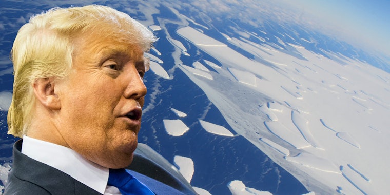 Donald Trump and Antarctic icebergs