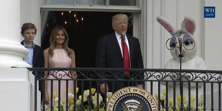 Donald Trump Easter bunny meme