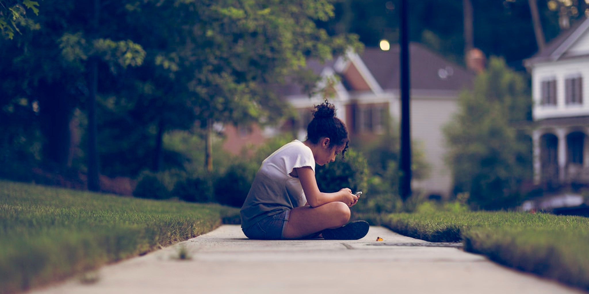 Homepage article image