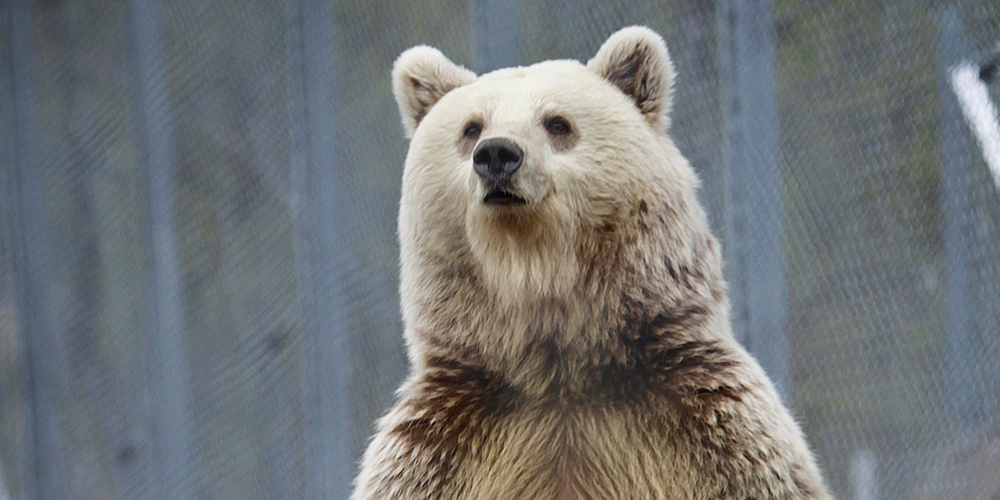 Homepage article image