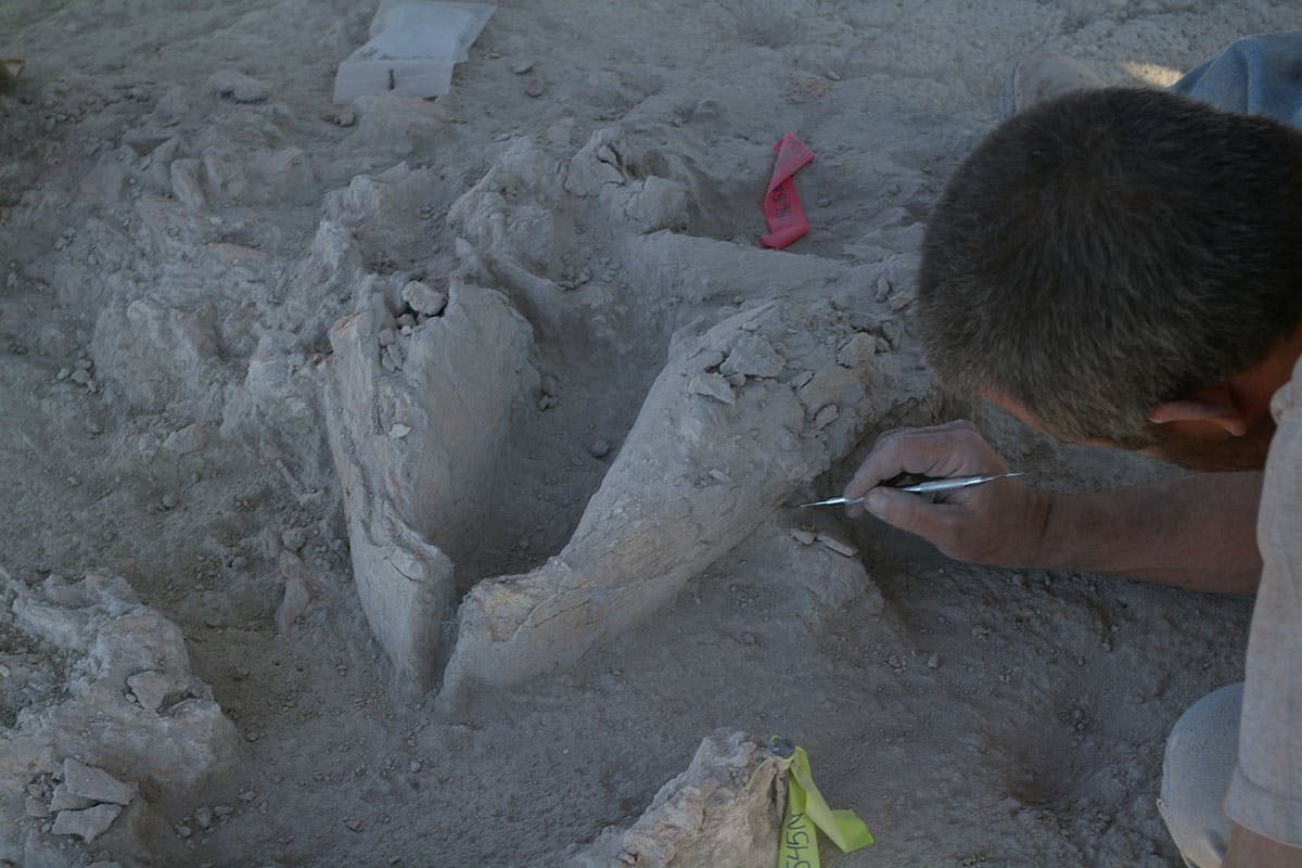 Ancient clovis people dig site.