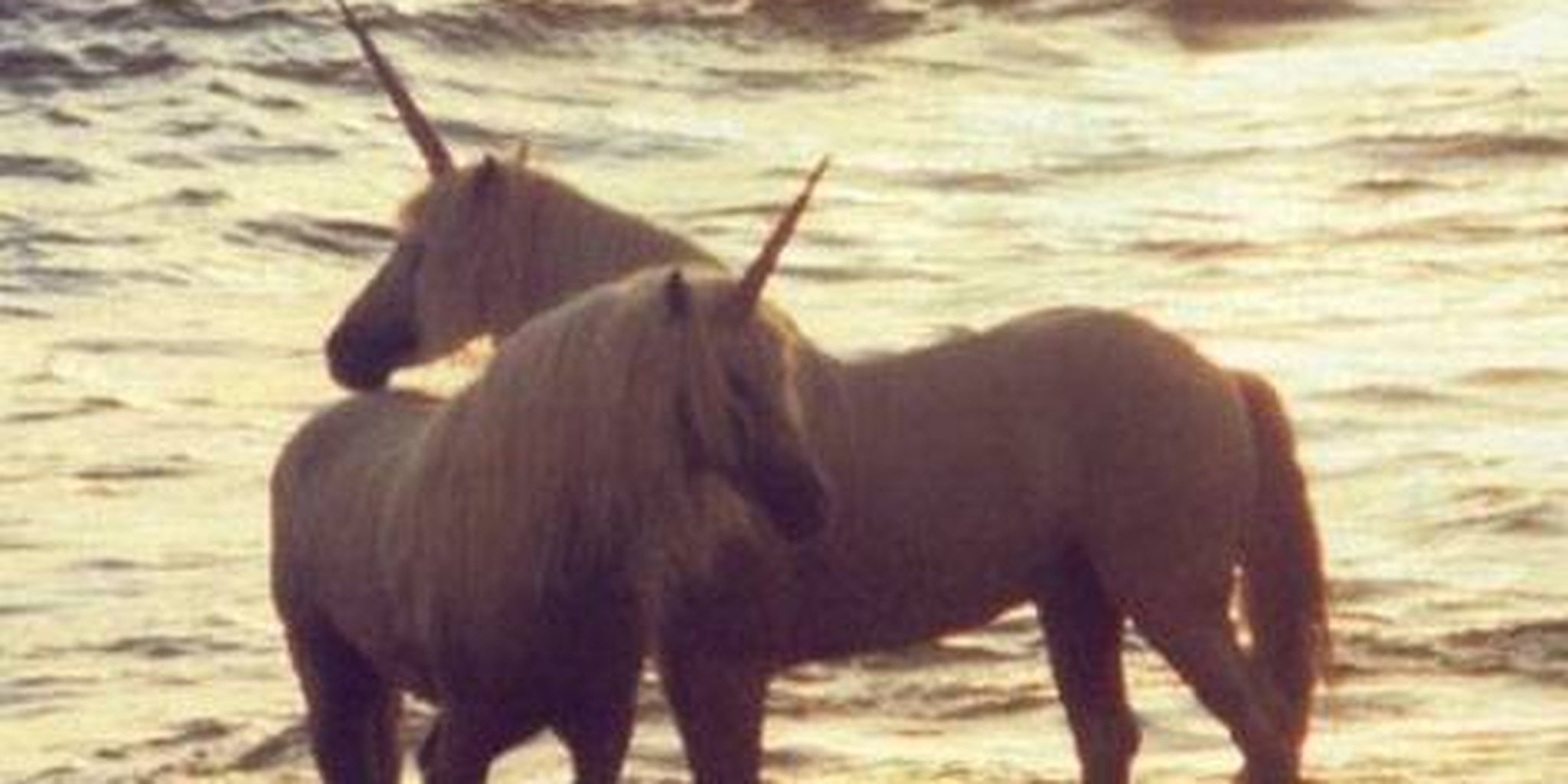 Homepage article image