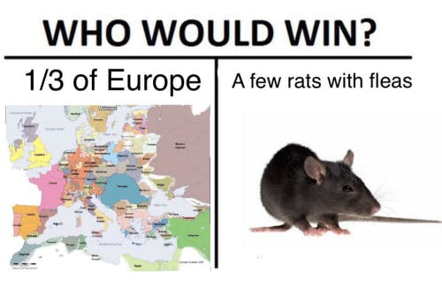 who would win rat vs europe meme