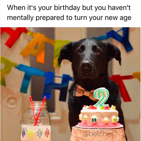 birthday memes