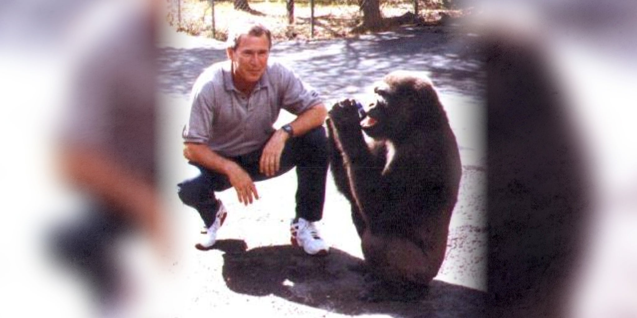 Homepage article image