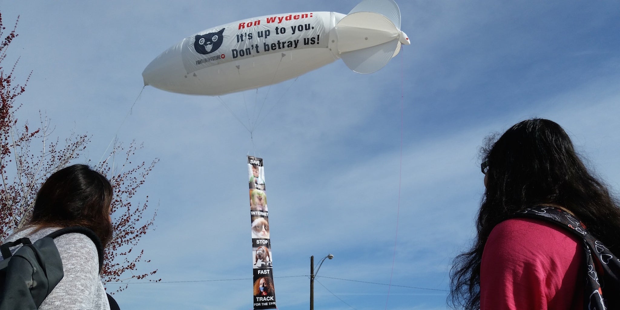 Homepage article image