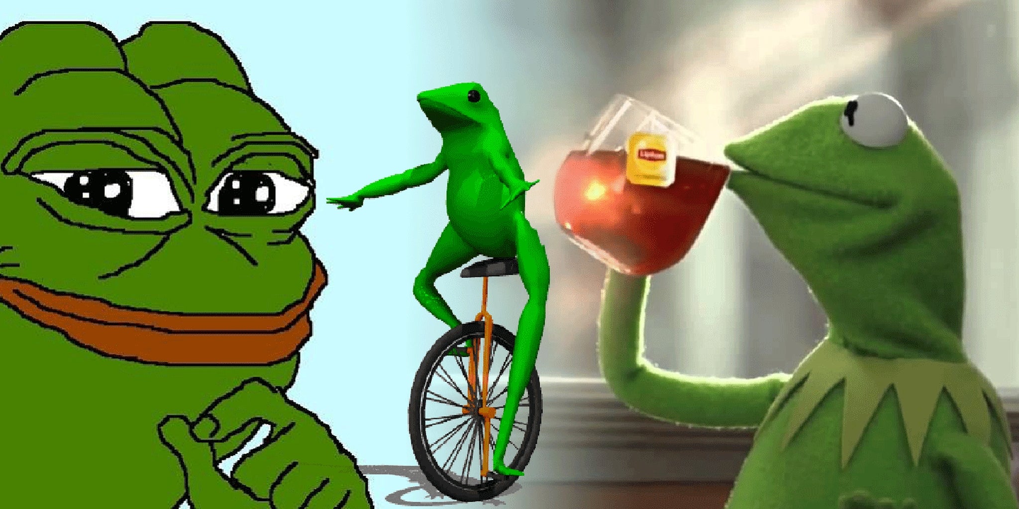 Why Do Frogs Become Such Great Memes Why Do Frogs Become Such Great Memes