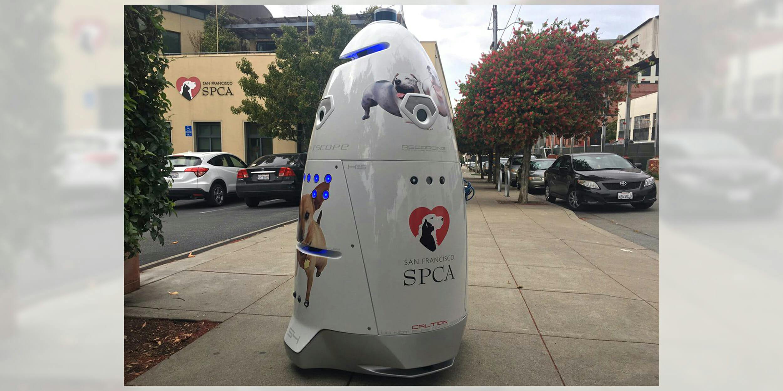 Why the 'robo-trap'?  HumanePro by The Humane Society of the