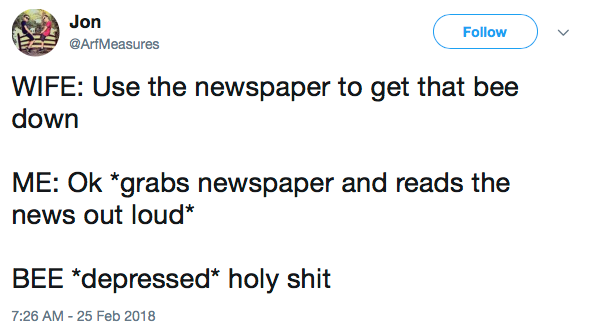 WIFE: Use the newspaper to get that bee down ME: Ok *grabs newspaper and reads the news out loud* BEE *depressed* holy shit