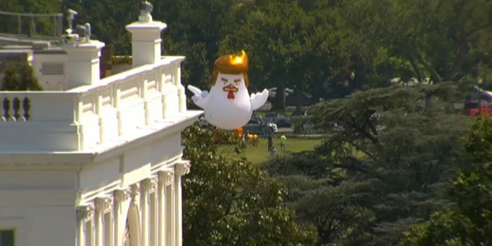 An inflatable chicken that looks like Donald Trump appeared near the White House on Wednesday.