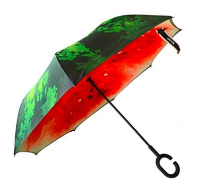 watermelon umbrella