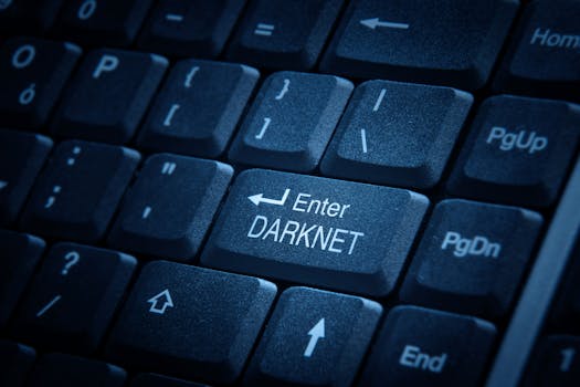 how to search the dark net