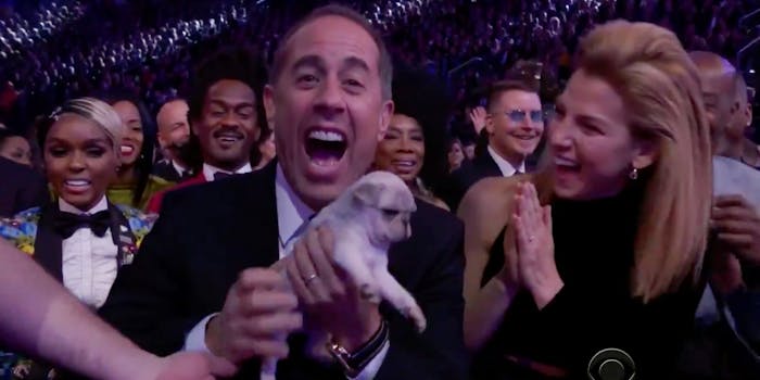 Puppies at the Grammys