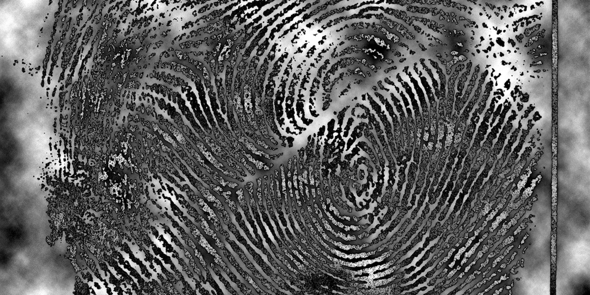 Homepage article image