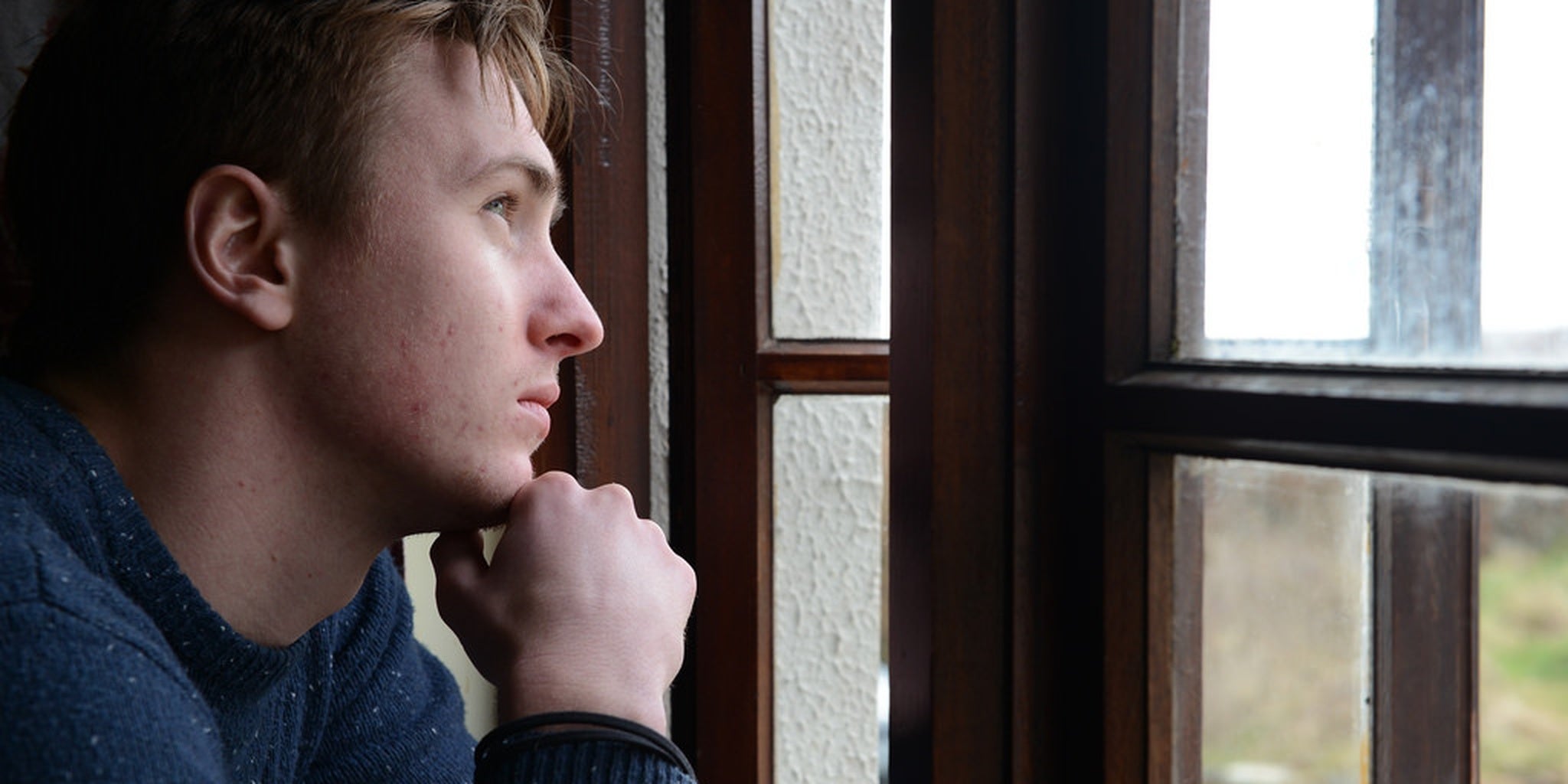 Homepage article image