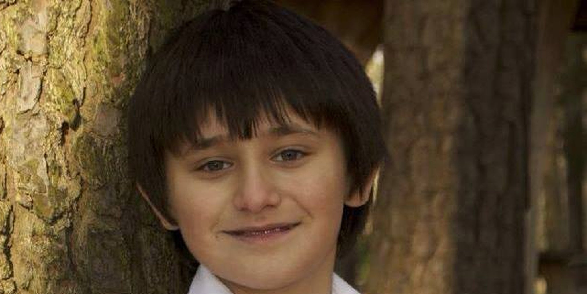 Homepage article image