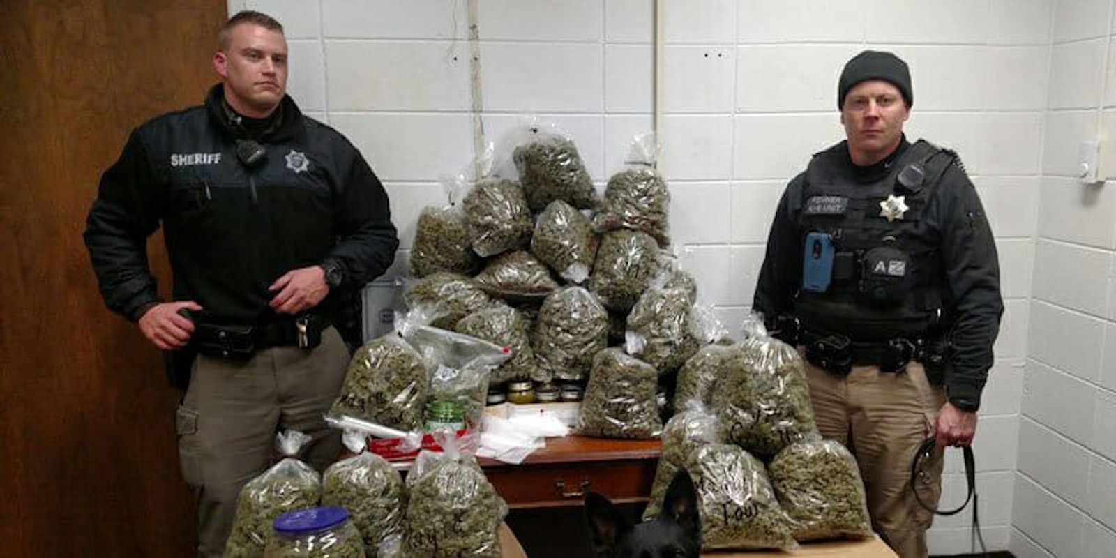 An elderly couple was pulled over in Nebraska and found to have 60 pounds of pot in their trunk.