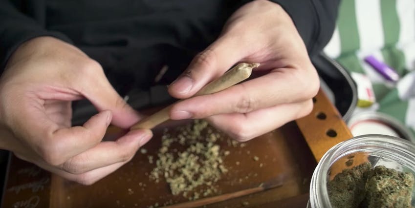 marijuana highland documentary