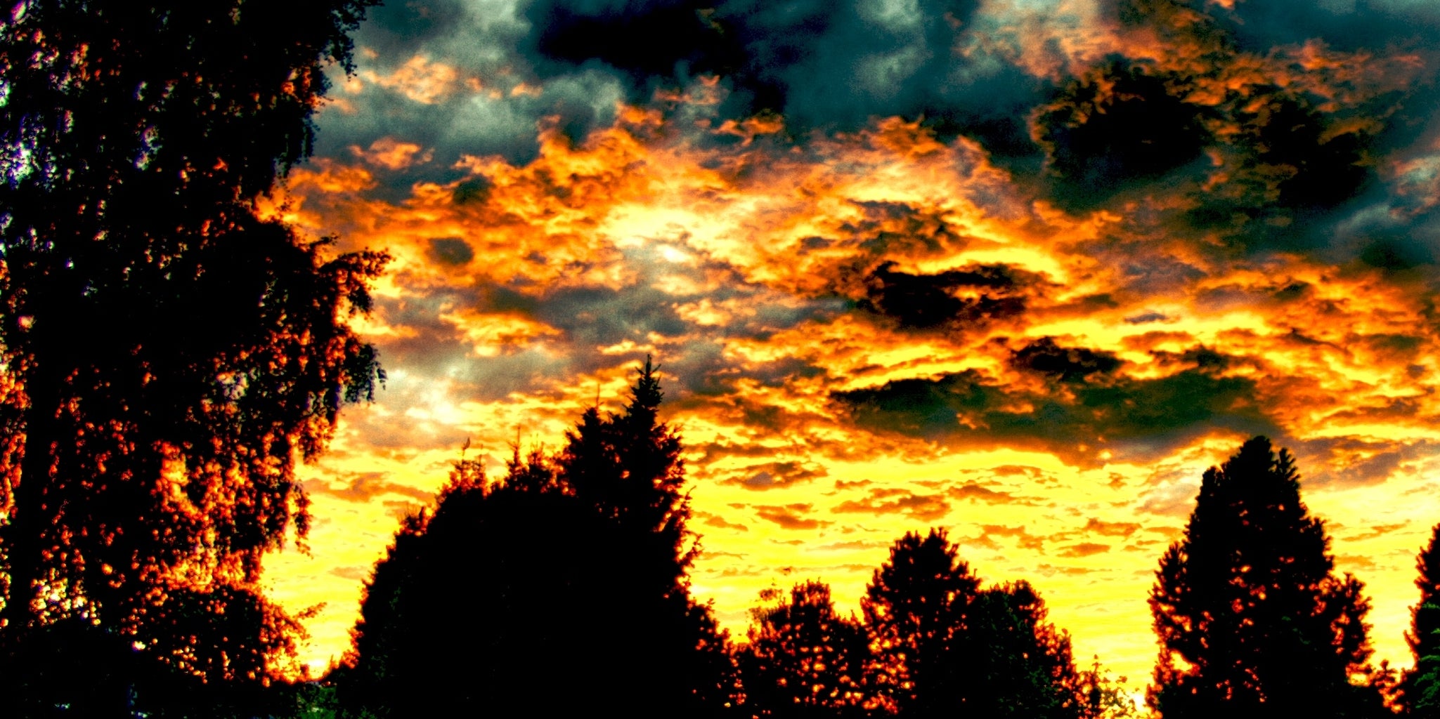 Homepage article image