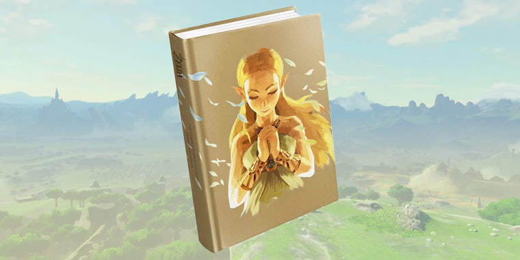 breath of the wild expanded edition