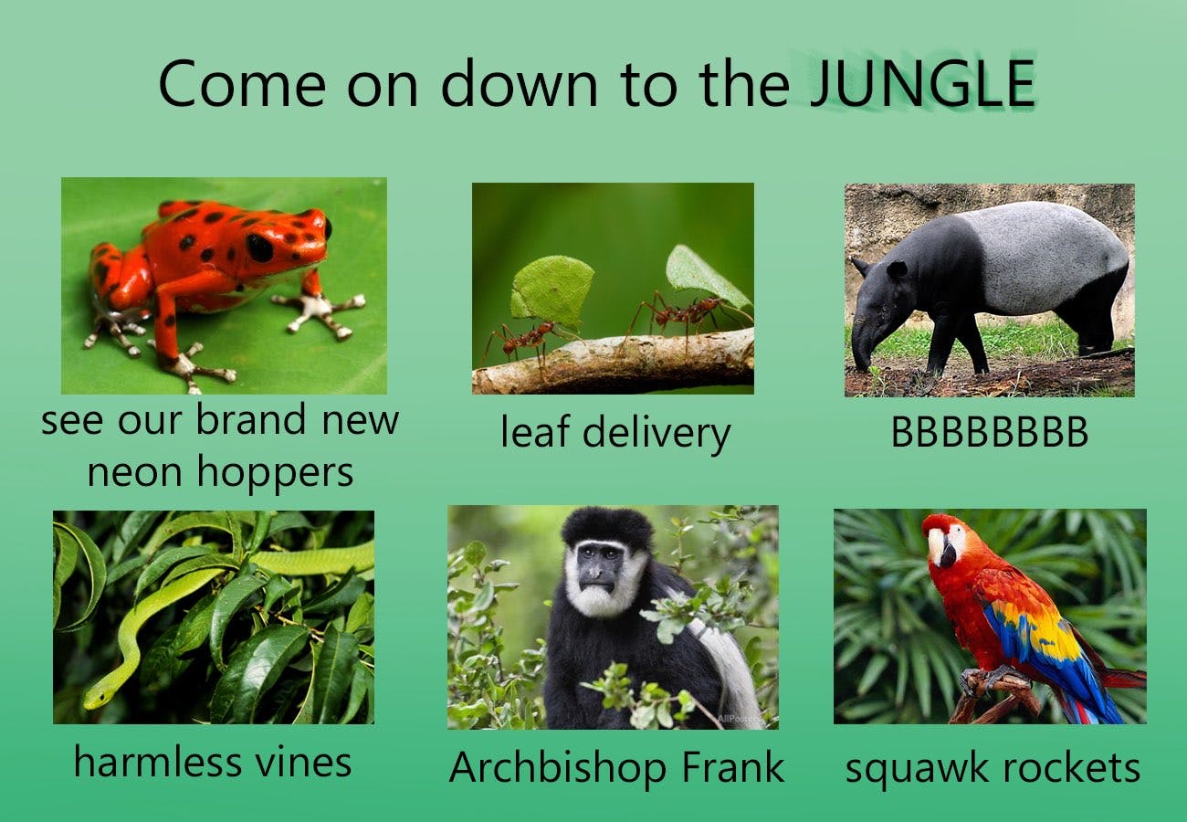 visit the jungle