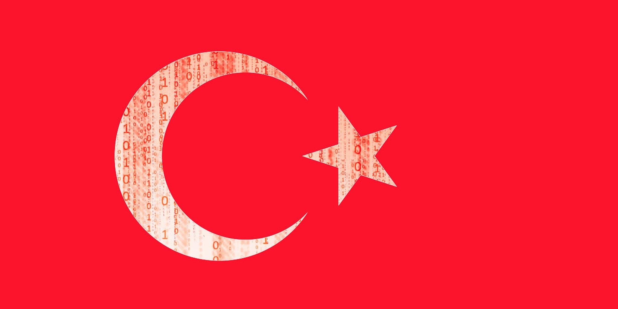 Homepage article image