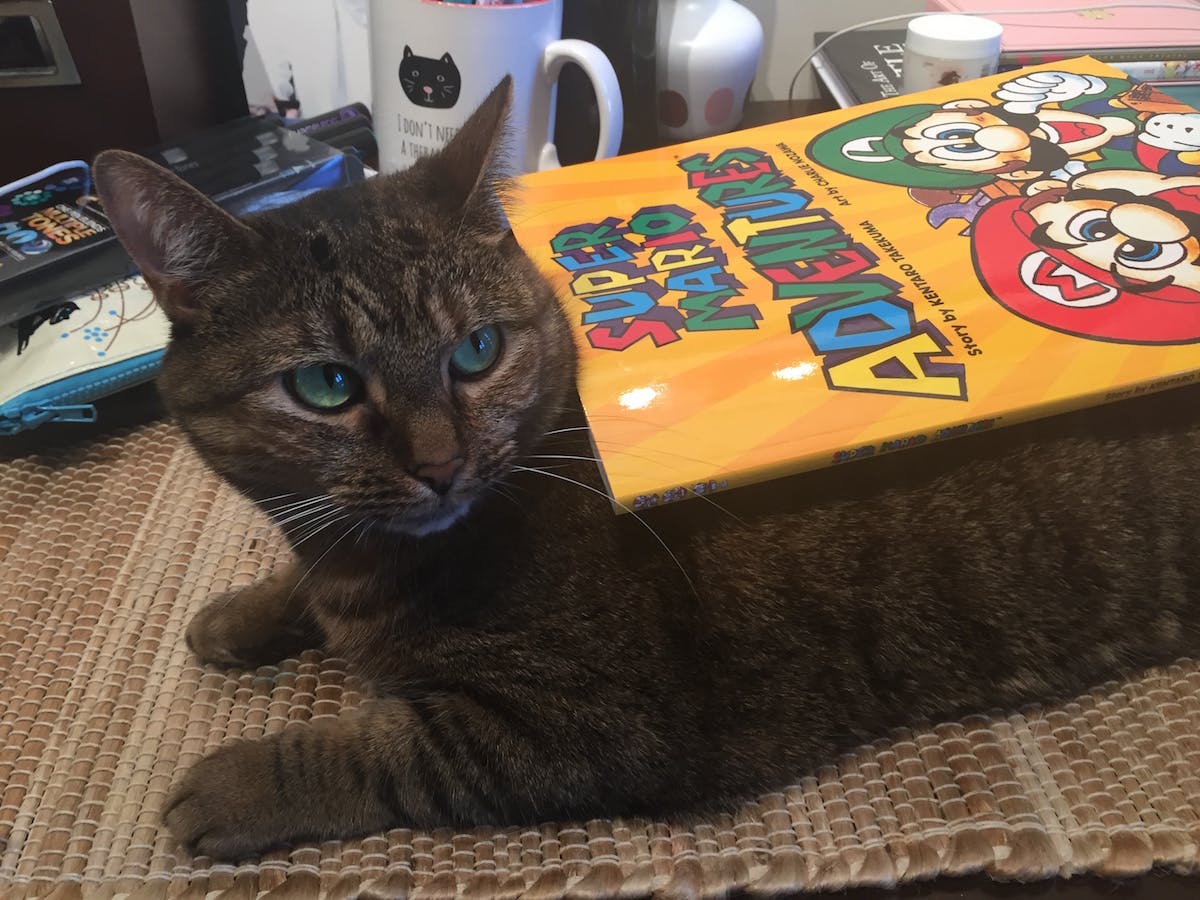 It's a nice size for a softcover. (Cat for scale.)
