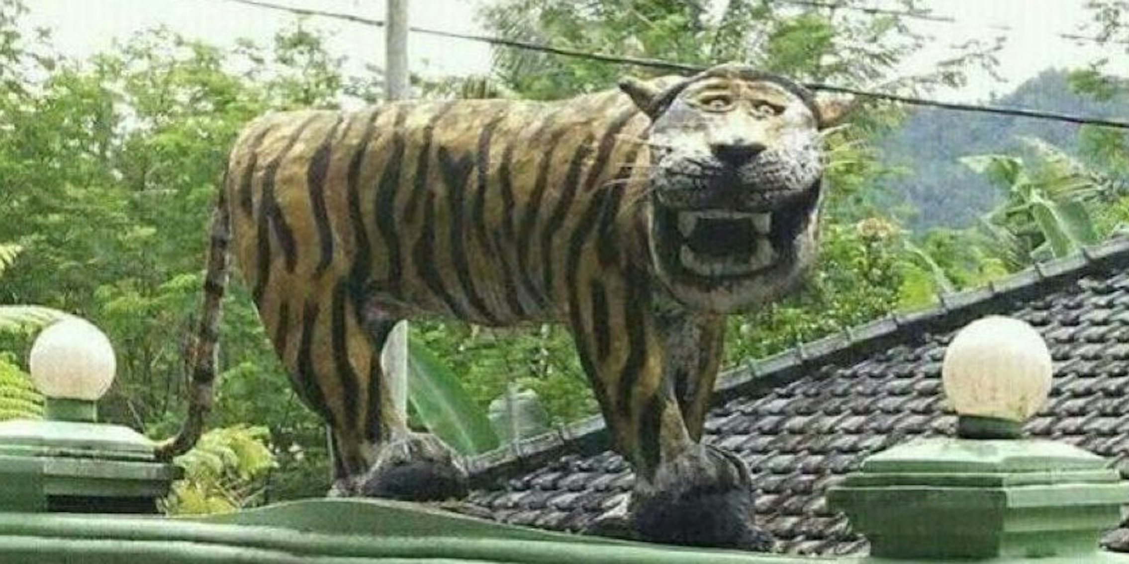 indonesian laughing tiger statue