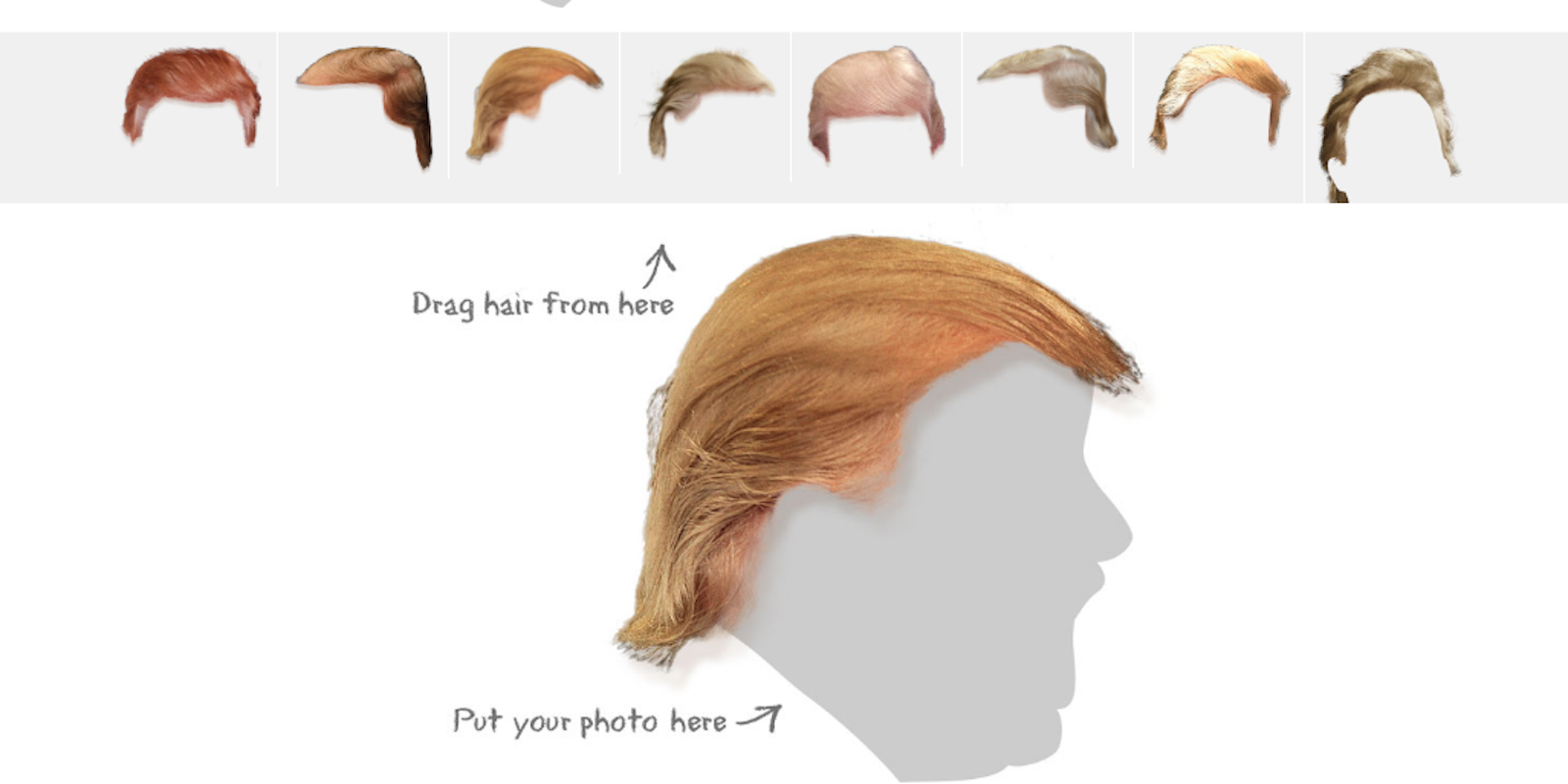 trump's hair