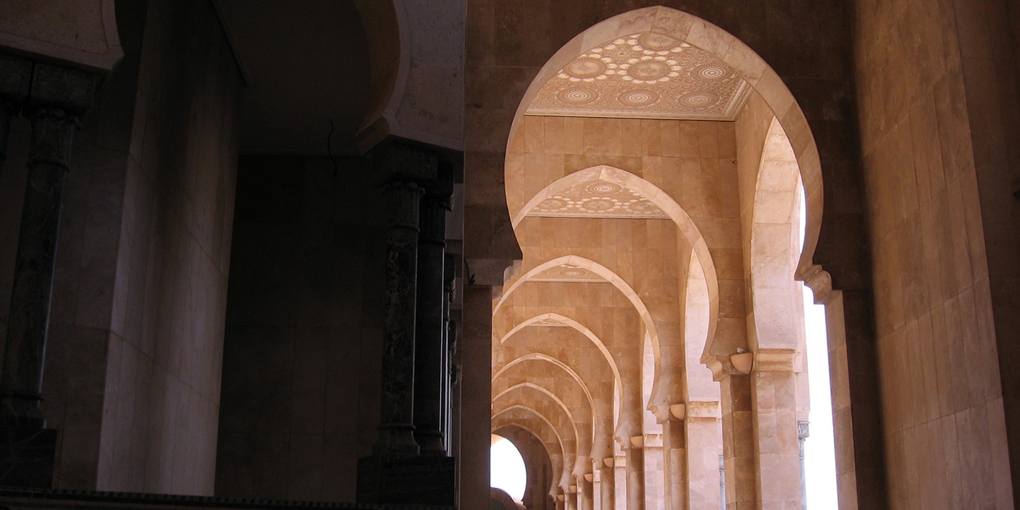 Homepage article image