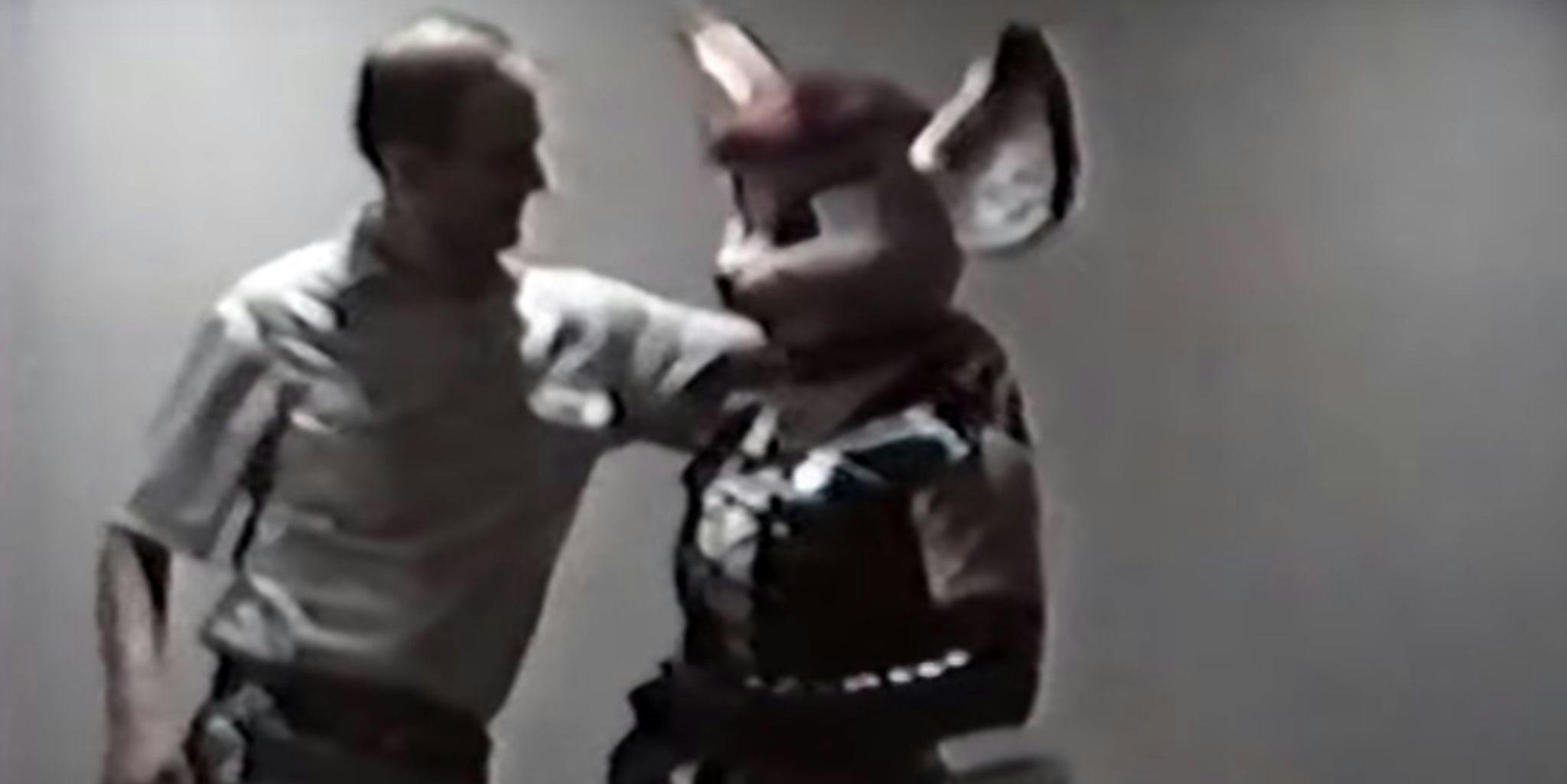 Incredible Raw Footage From the World's First Furry Convention